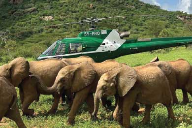 Proflight Helicopter Safaris